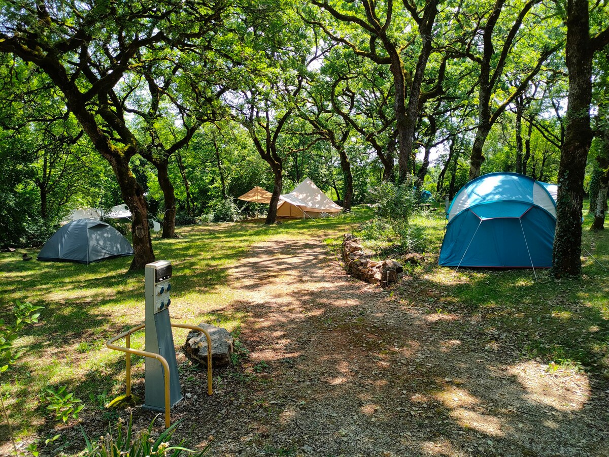 Le Palmier, mobile home in Quercy, 4 people