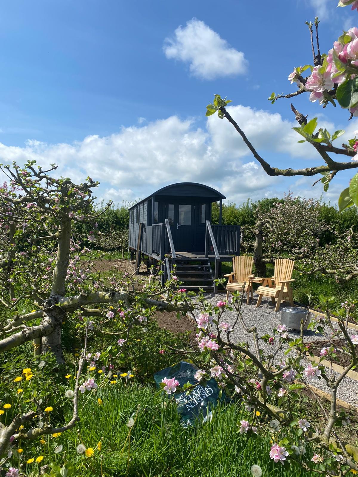 Bramley Haven - Shepherd Hut (Minnie 4 Berth)