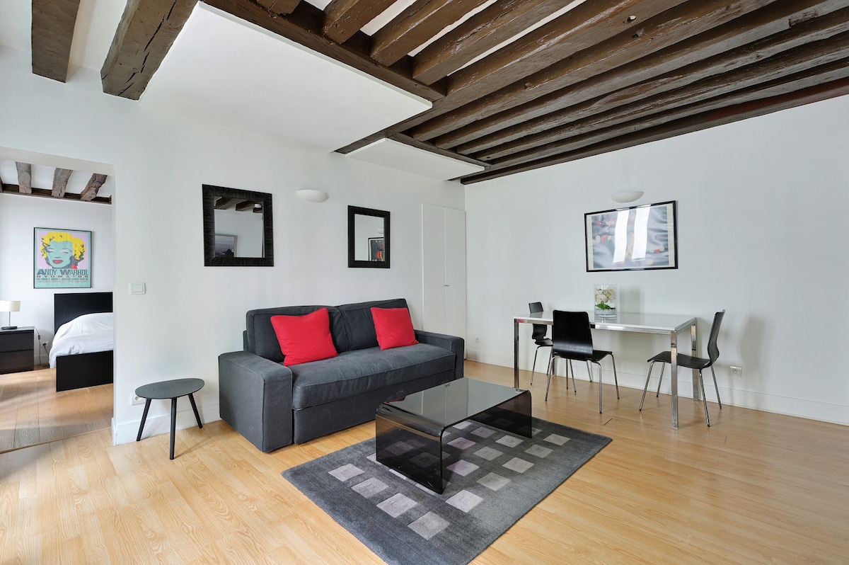 非常好的一居室公寓，位于巴黎圣日耳曼6号