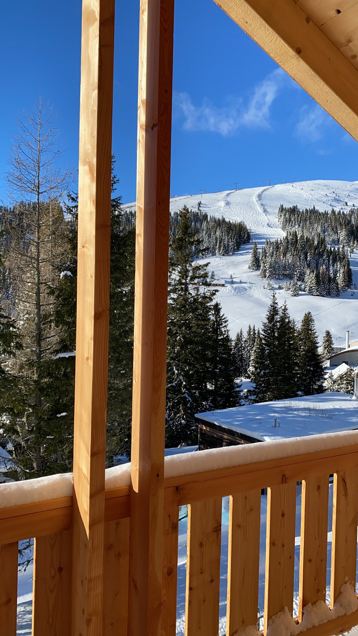 Holzknechthütte mit Kamin und Sauna