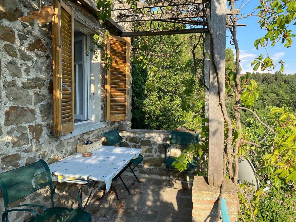 Appartamenti in via Pantani - lovely cottage house