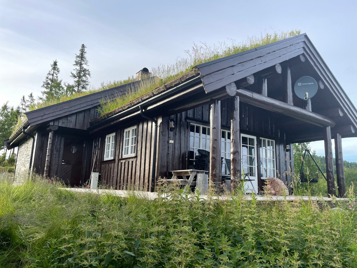 Løvsjølia的小屋，可欣赏利恩国家公园的美景。