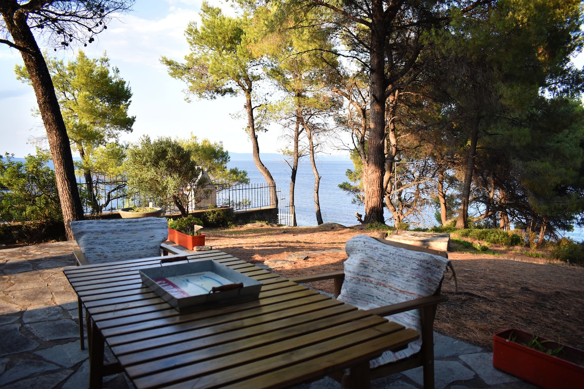 House in pines in front of the sea