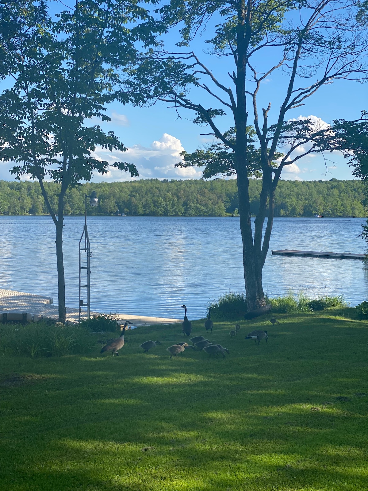 孟普雷马戈（ Memphremagog ）边缘的日落度假木屋