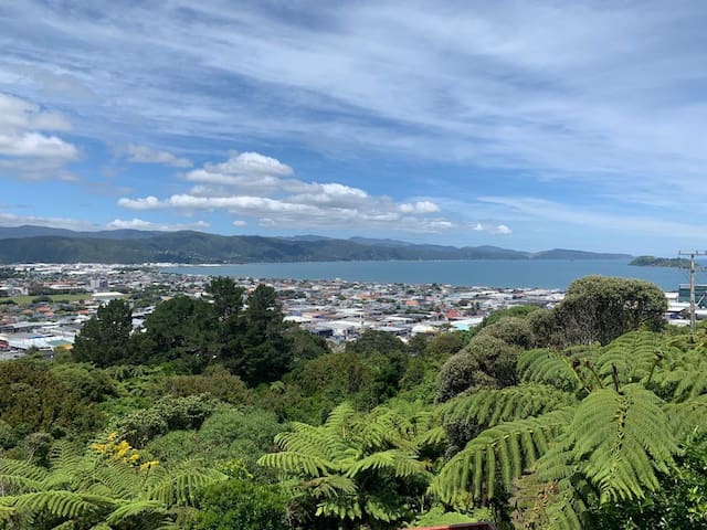 下哈特（Lower Hutt）的民宿