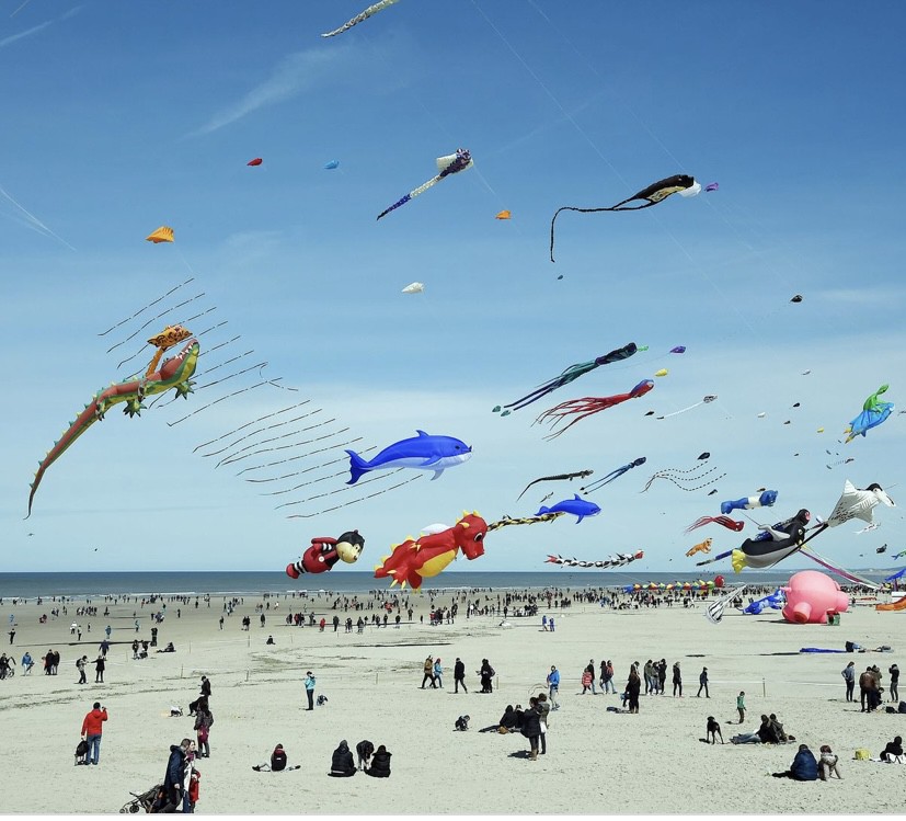 Studio au calme a mi chemin de berck et fort mahon