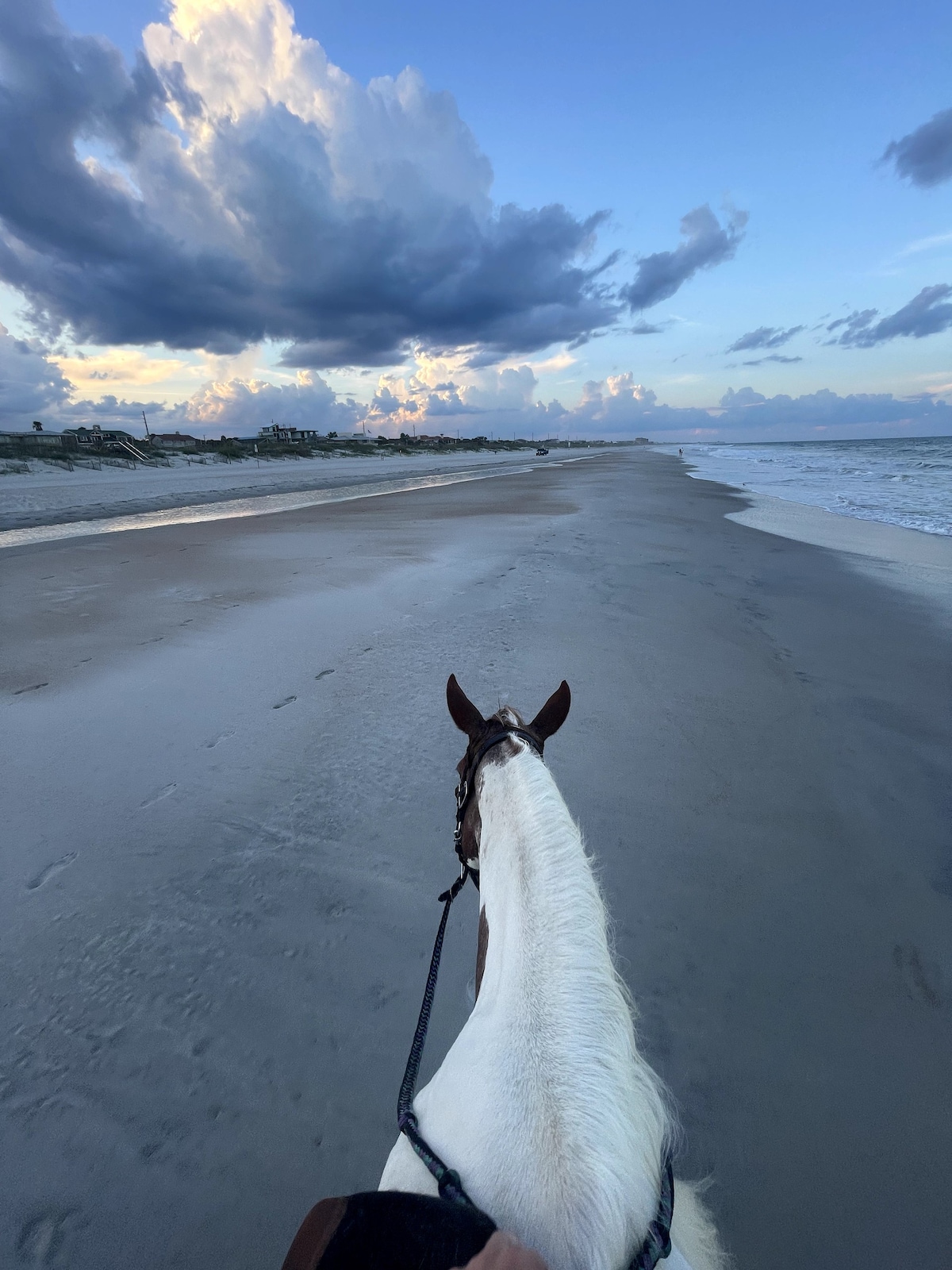 Amelia Island Getaway~Close to Beach~Pet Friendly~