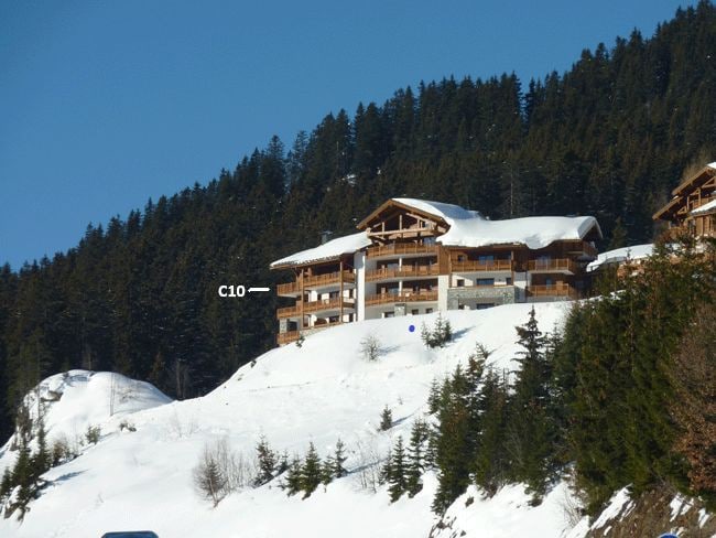 La Perle des Alpes C10 Apart.4* #Yolo Alp Home