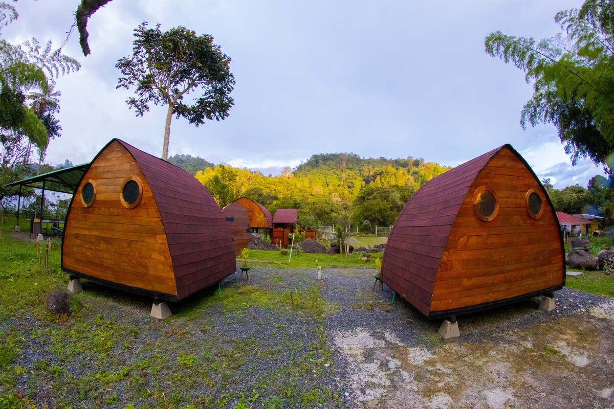 Adorable glamping estándar rodeado de naturaleza