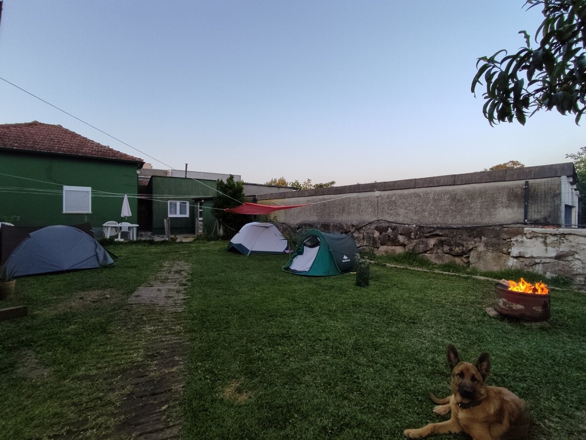 Agra宠物露营地IV （不含帐篷）
