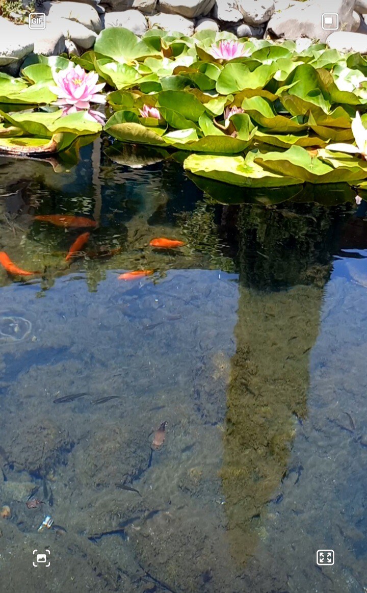 卡斯皮安海岸的梦幻之家