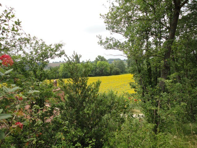 Quiet house in the countryside