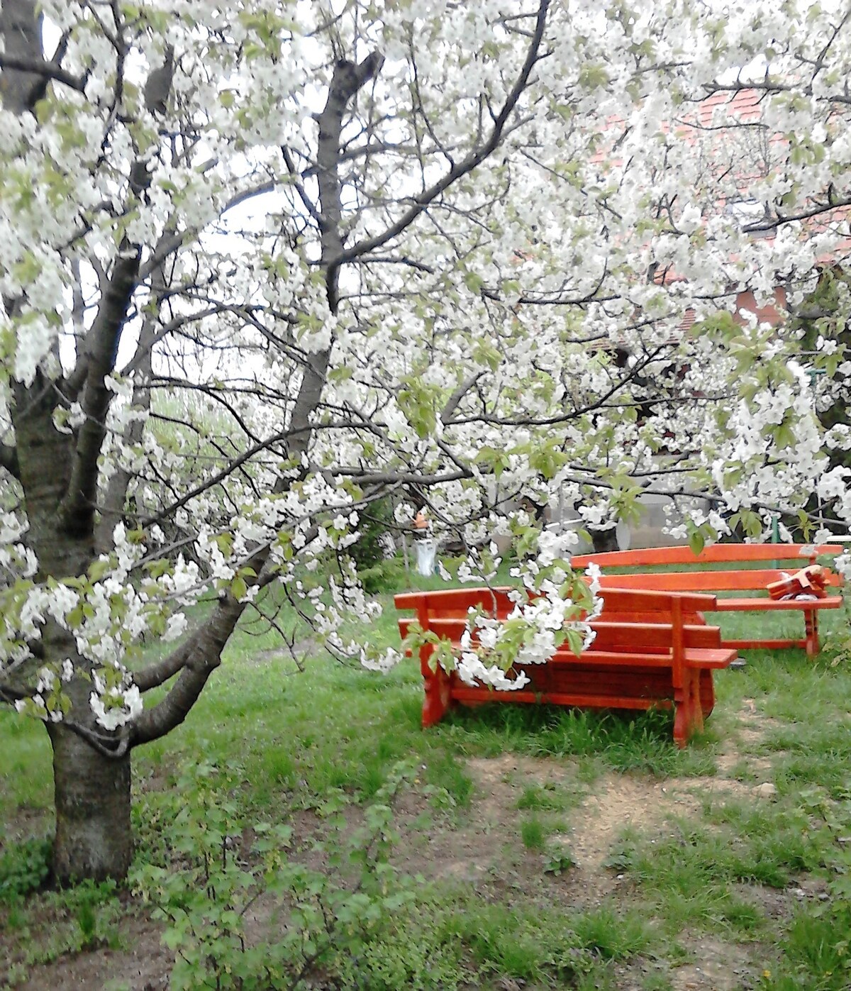 这是一家山区住宿加早餐，但靠近市中心。