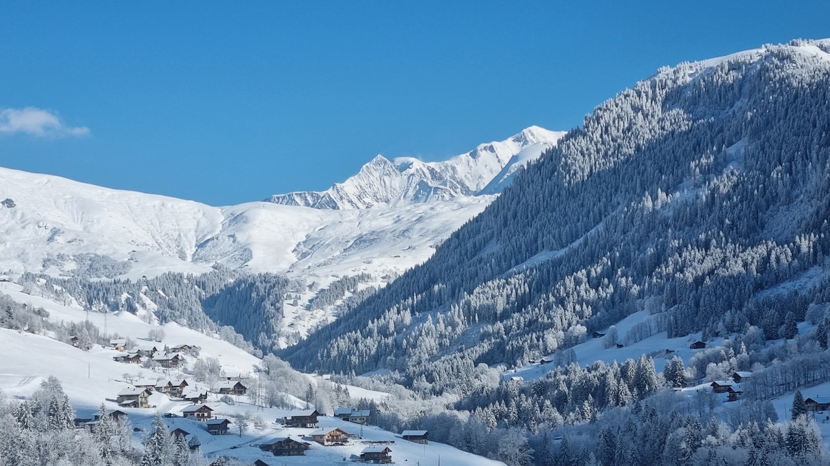 面向勃朗峰（ Mont-Blanc ）的卓越度假木屋-桑拿、水疗和咖啡