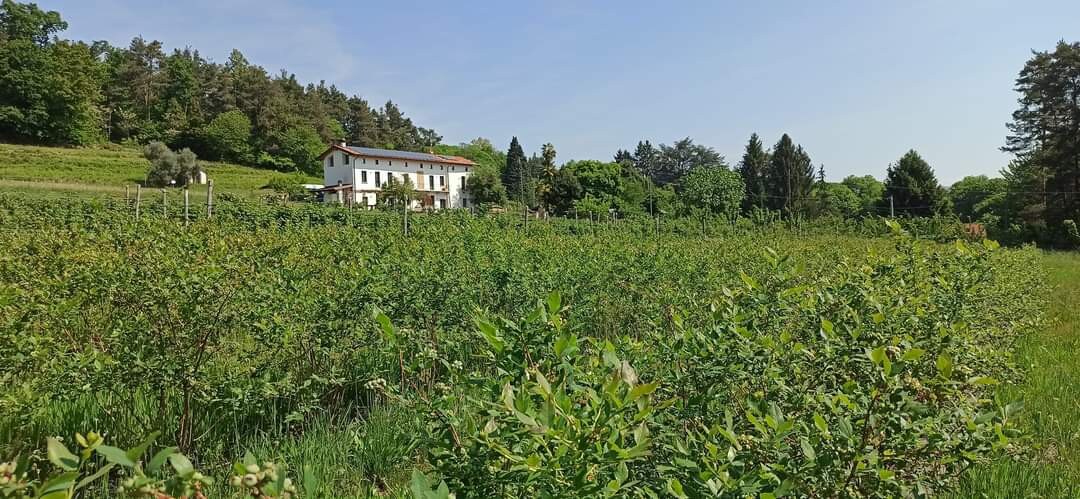 Cascina Ronco dei Lari - Il NIDO - Lake Maggiore