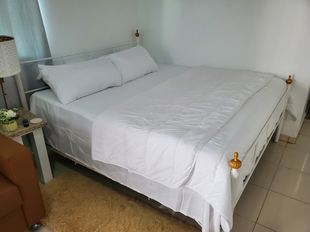 Apt/Studio With King Size Bed and AC RS31