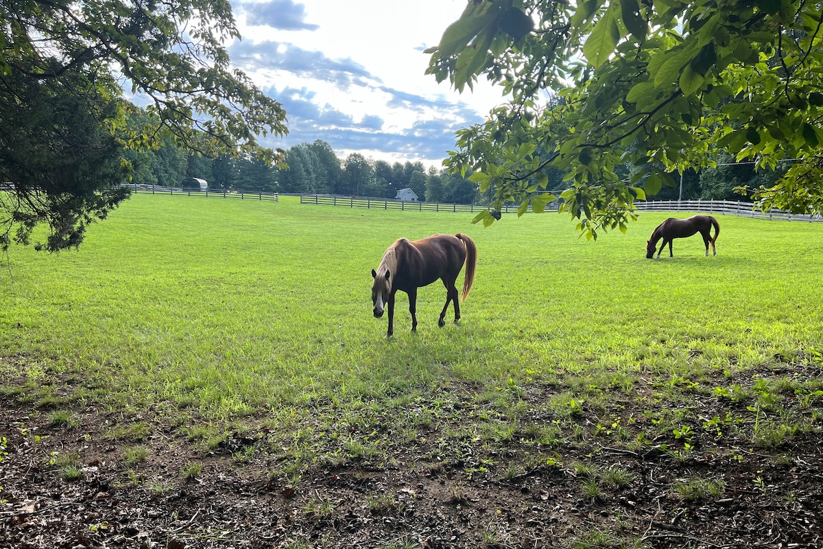 Farm Stay in Boston Virginia