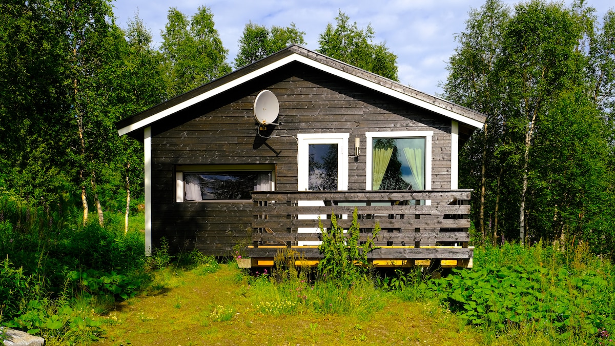 Skogshytte i vakre Hattfjelldal