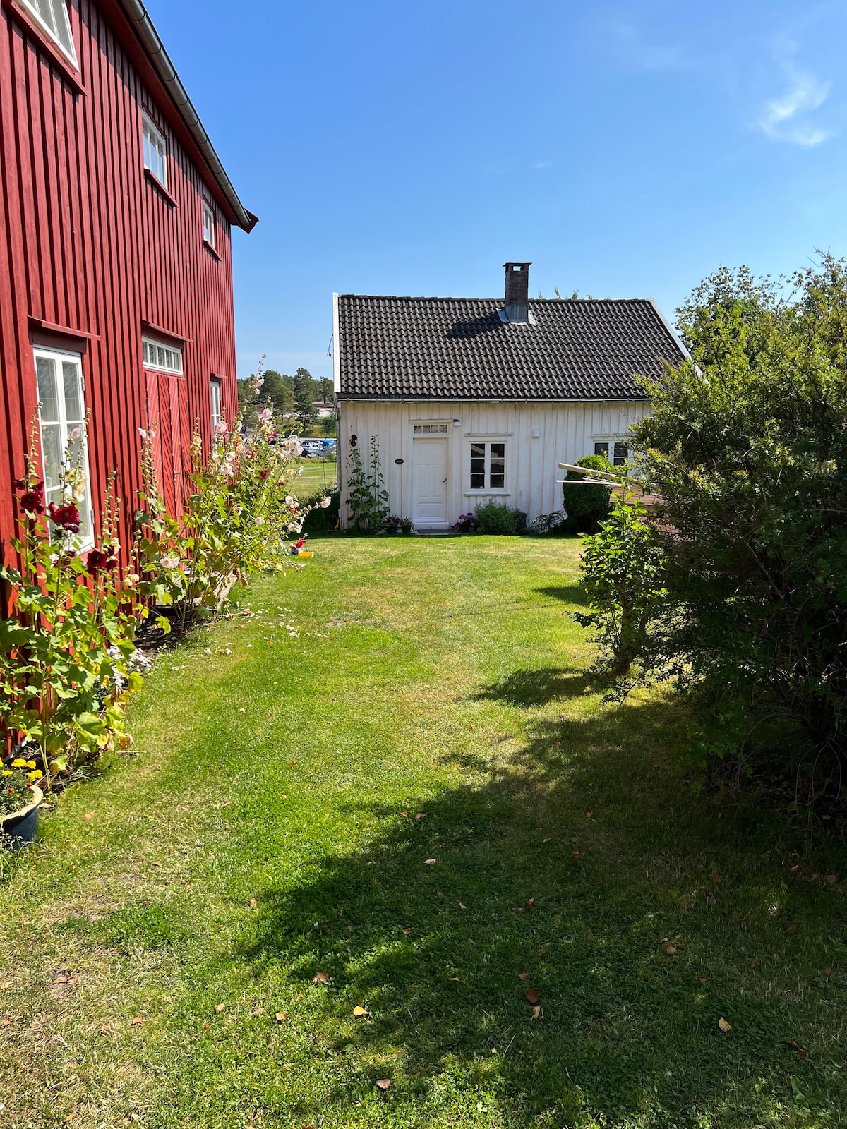 Idyllisk sommersted ved sjøen.