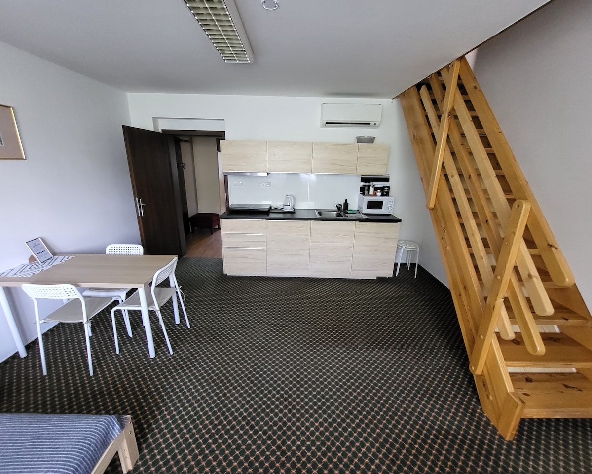 Excellent premium apartments in Karlovy Vary