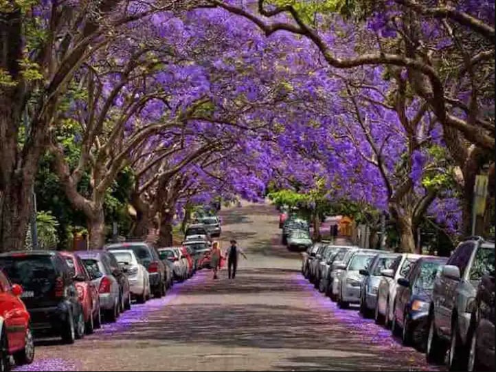 Large Apartment in Sydney's most "grammable" Bondi