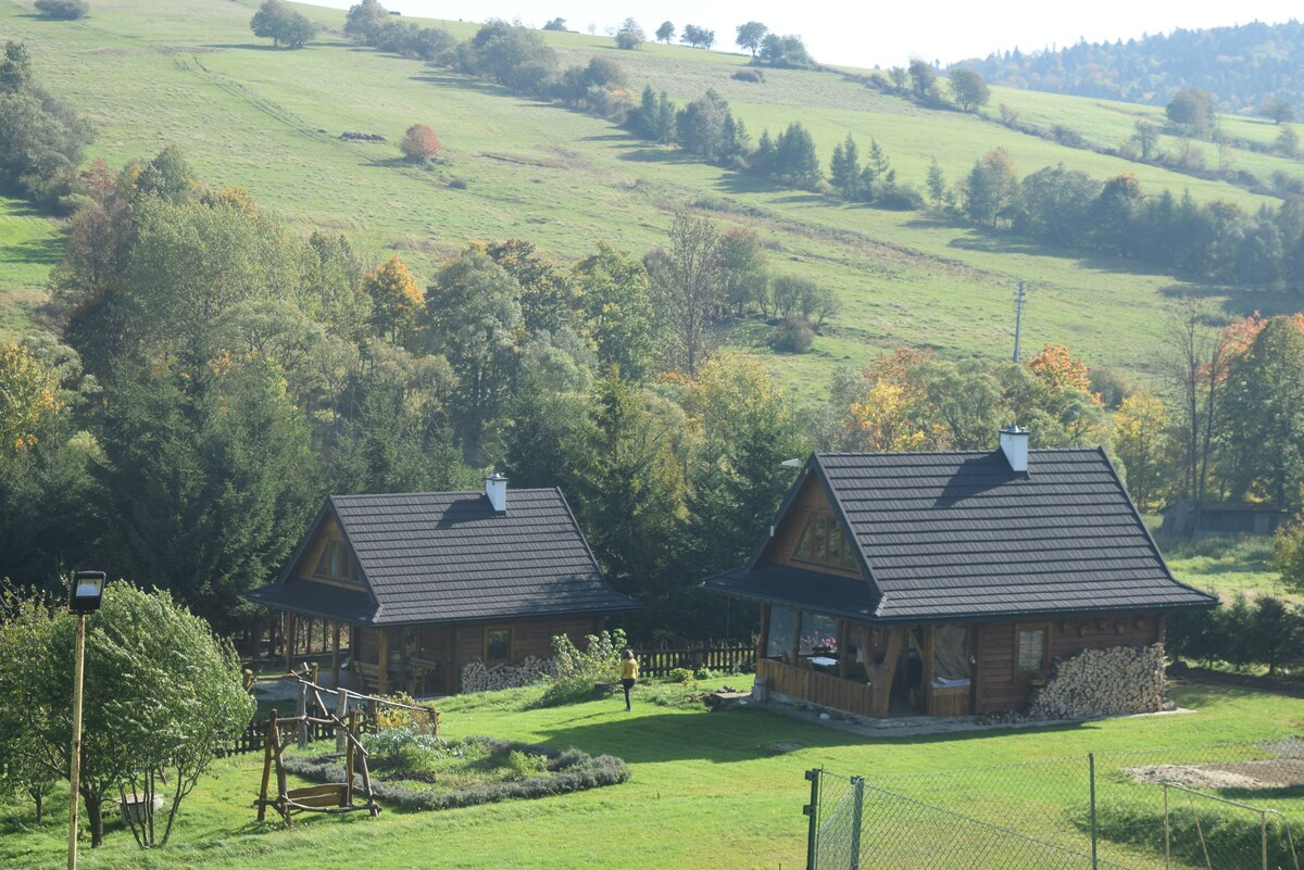 Lemkovsčín的松树屋