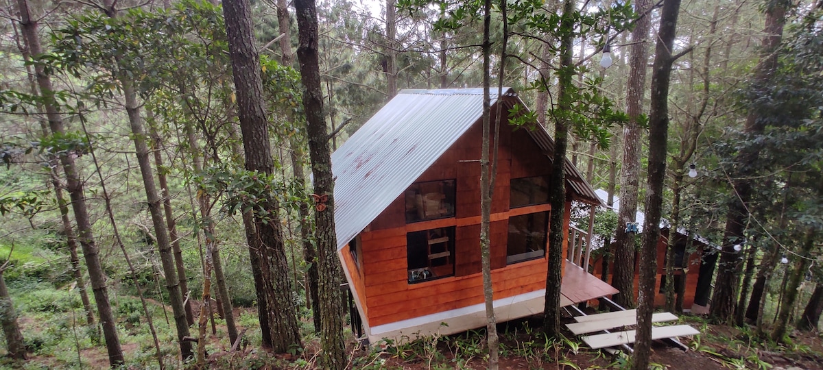 Eco Cabaña El Guaco-Bosque Encantado de Miramundo