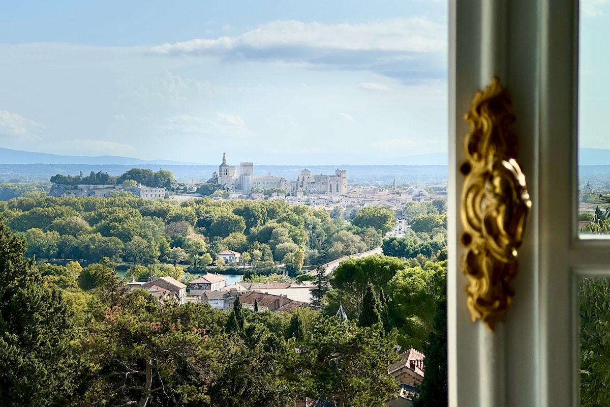 迷人的公寓，位于城堡中，可欣赏阿维尼翁的壮丽景色。