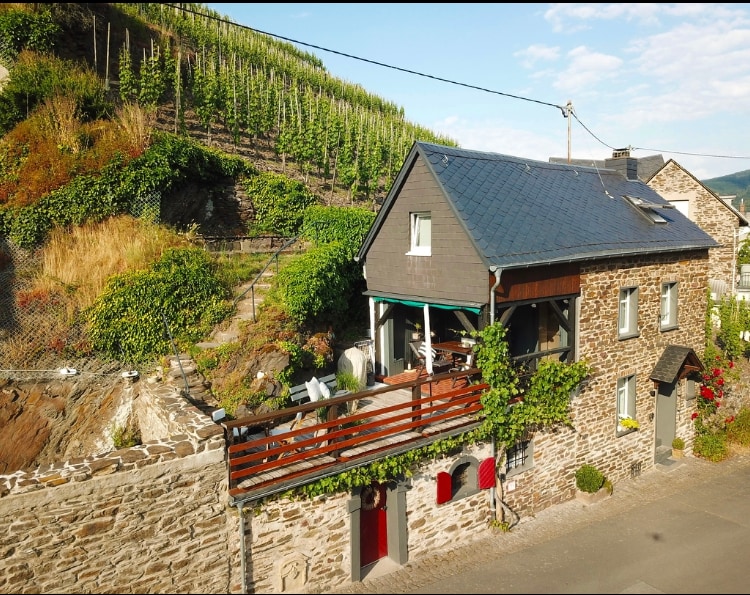 Ferienhaus Goldstück 
Wohnen in den Weinbergen