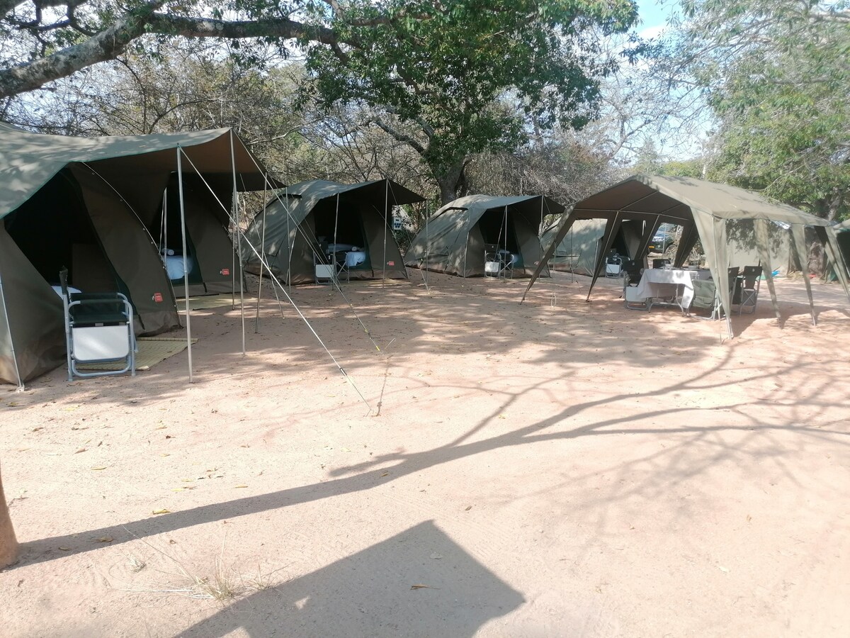 Overnight Classic Camping Safari