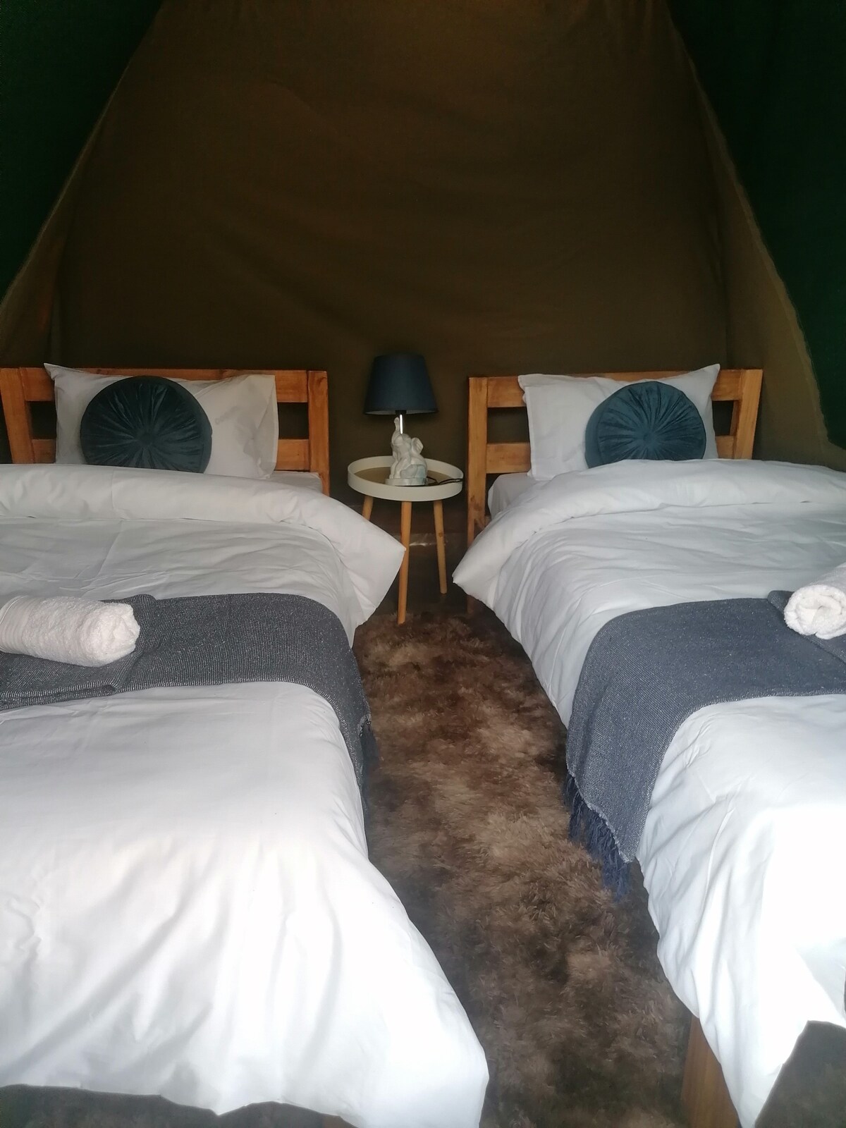 Overnight Classic Camping Safari