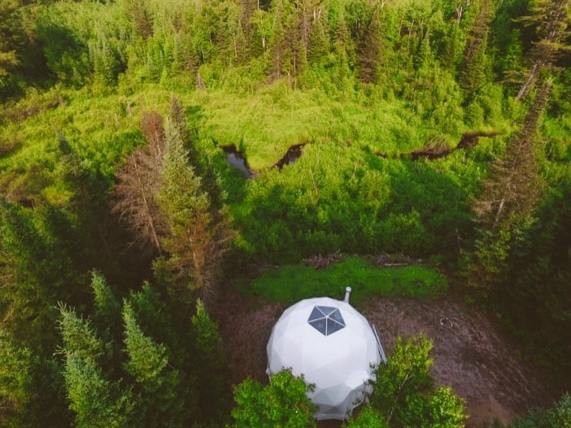 Nature's Harmony - Little Dipper Dome
