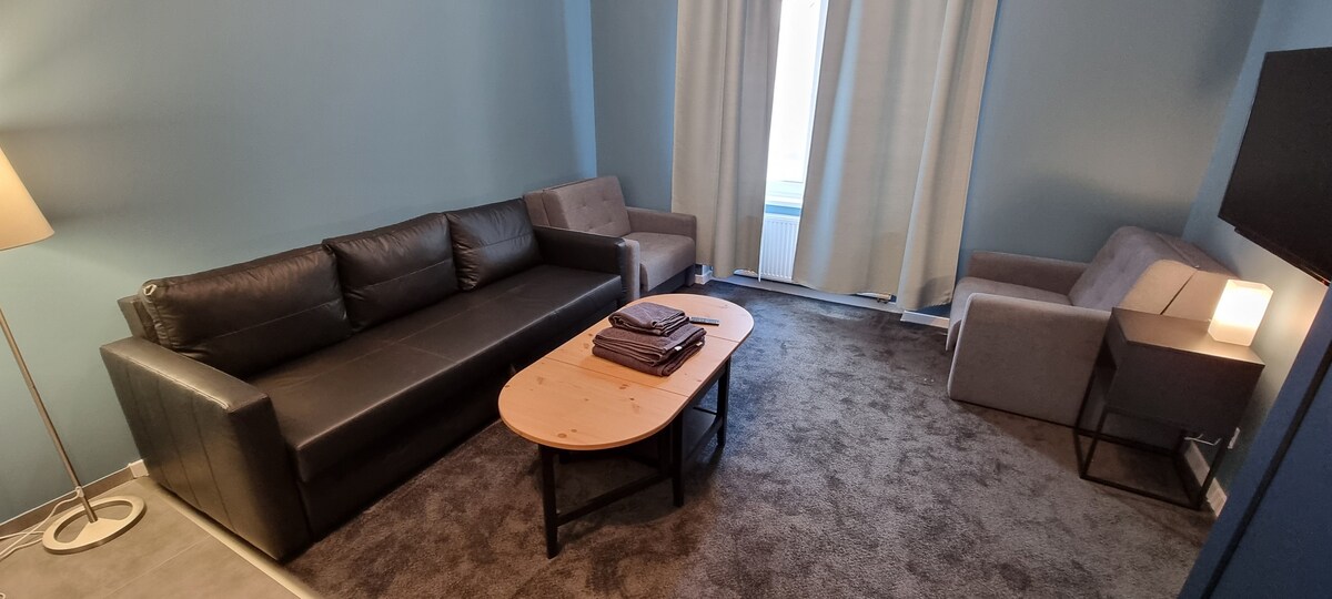 Chorzów可容纳2-4人的舒适单间公寓