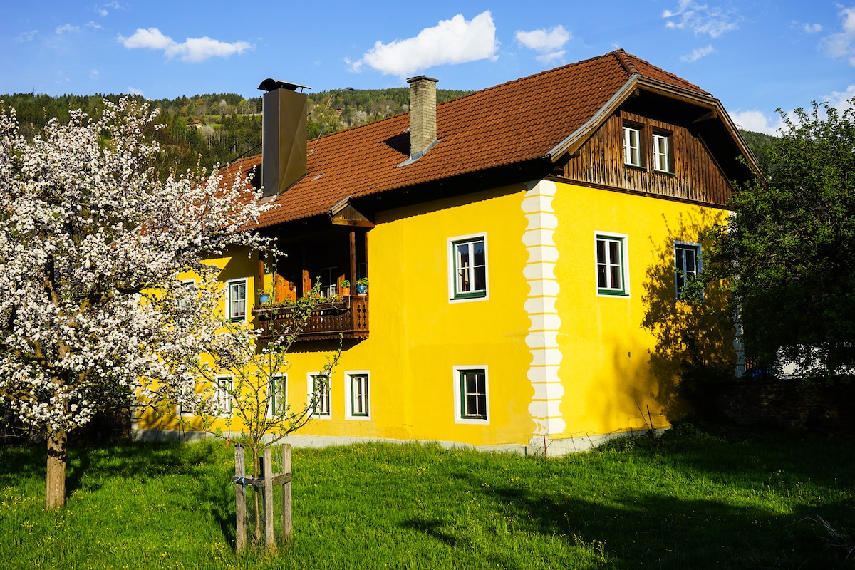 Gemütliche Wohnung in der Künstlerstadt Gmünd