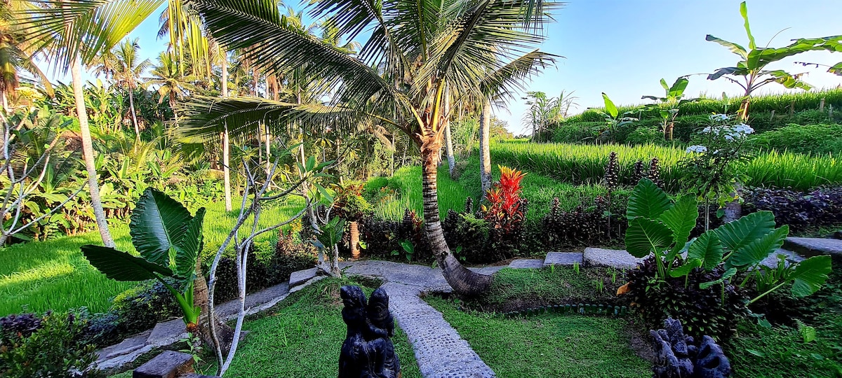 木屋2 ，水稻露台景观Junjungan Ubud