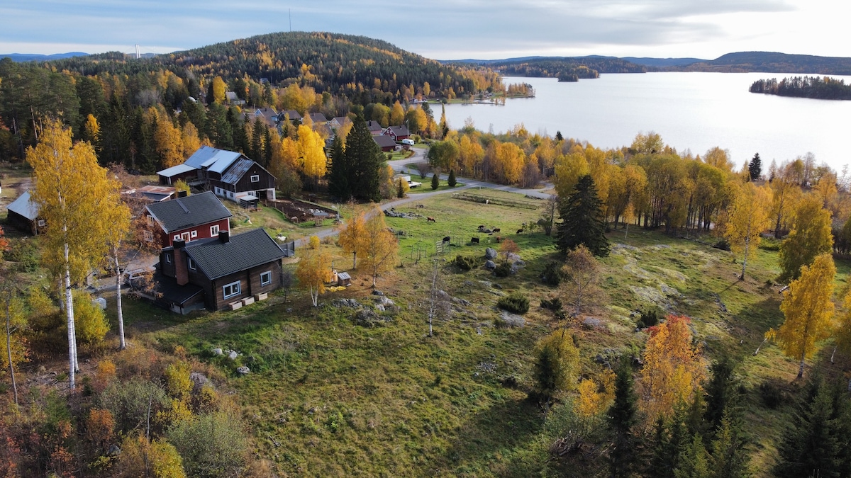 Trevligt semester på Brunkens Gård!