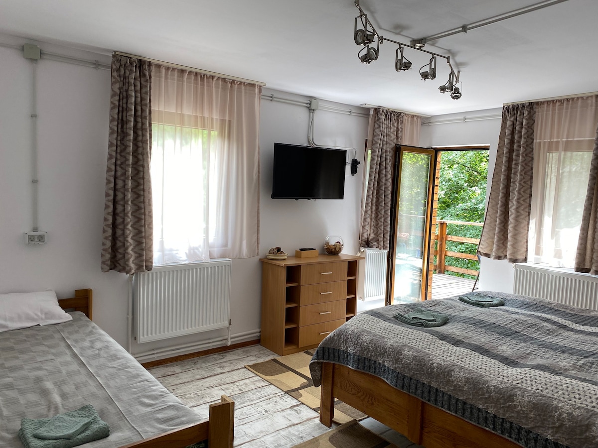 Old Town Natural Surroundings Apartment in Brasov