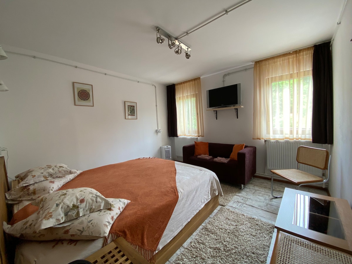 Old Town Natural Surroundings Apartment in Brasov