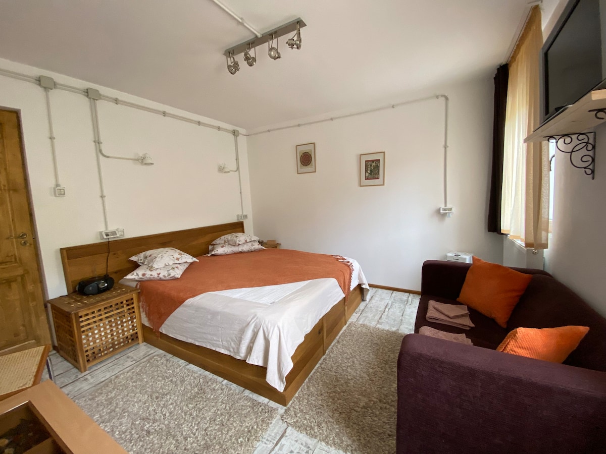 Old Town Natural Surroundings Apartment in Brasov