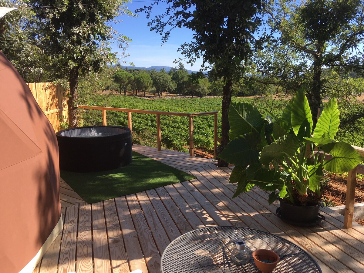 Géode dans les arbres avec jacuzzi sur la terrasse