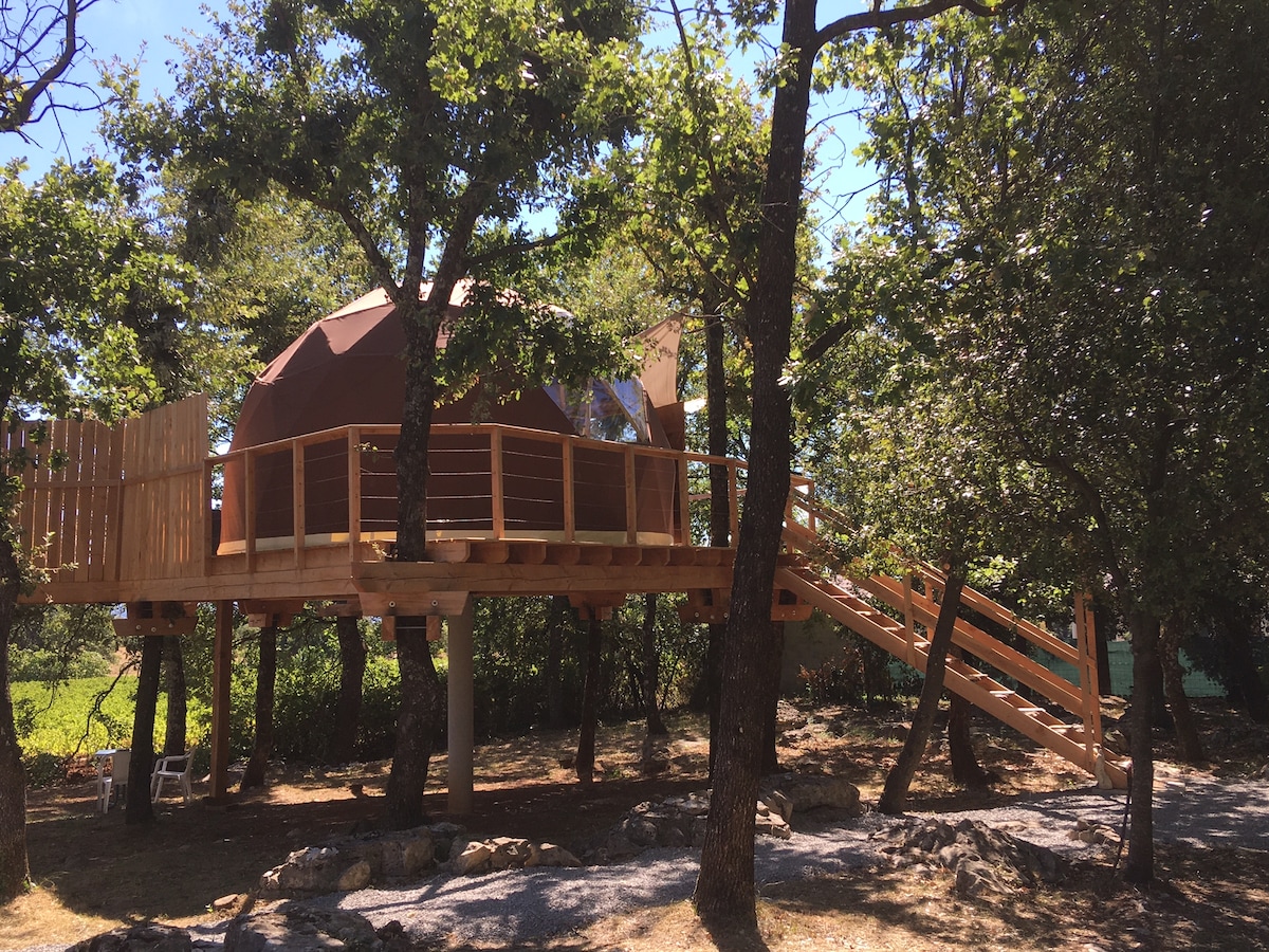 Géode dans les arbres avec jacuzzi sur la terrasse