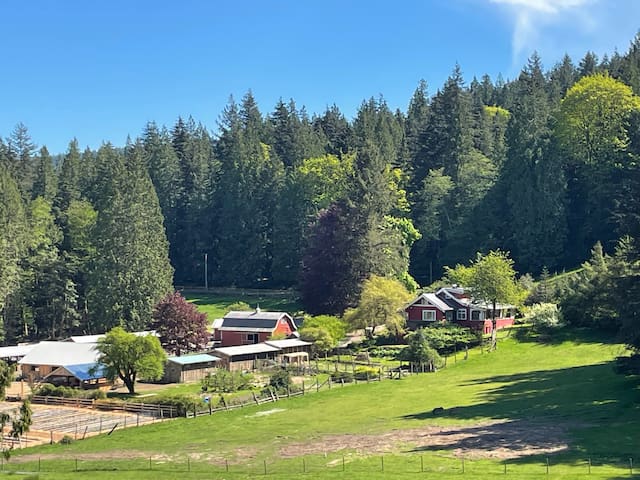 宝云岛（Bowen Island）的民宿