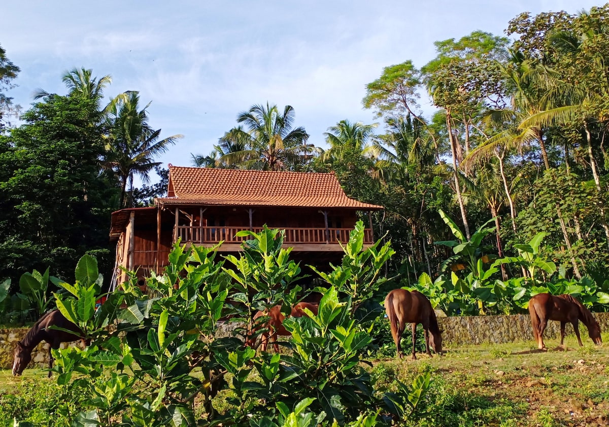 Havana Horses Lodge ：带天然泳池的生态别墅