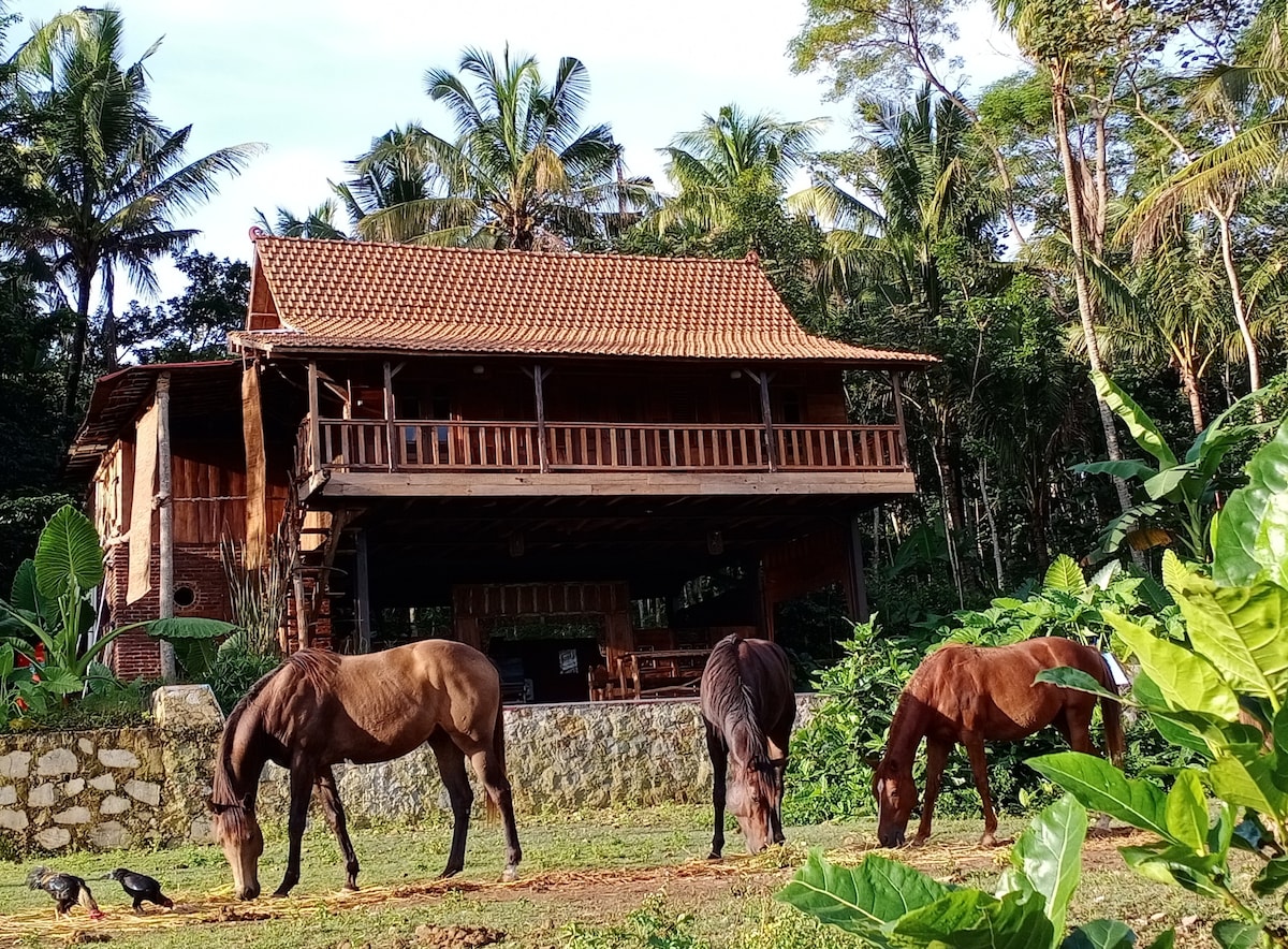 Havana Horses Lodge ：带天然泳池的生态别墅