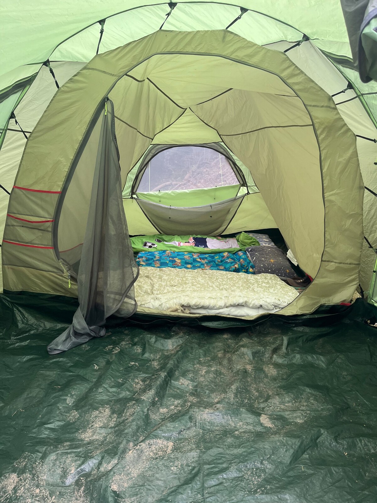 奢华的野外露营-林地中的带顶棚的帐篷。