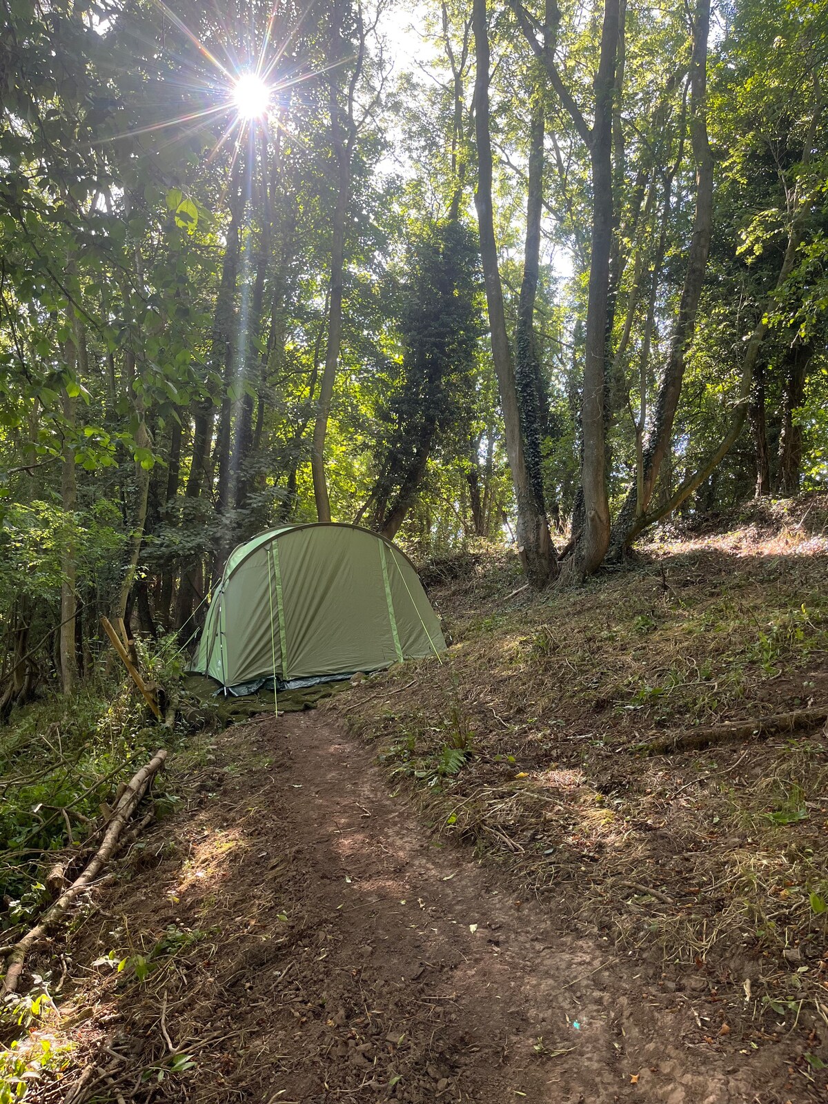 奢华的野外露营-林地中的带顶棚的帐篷。