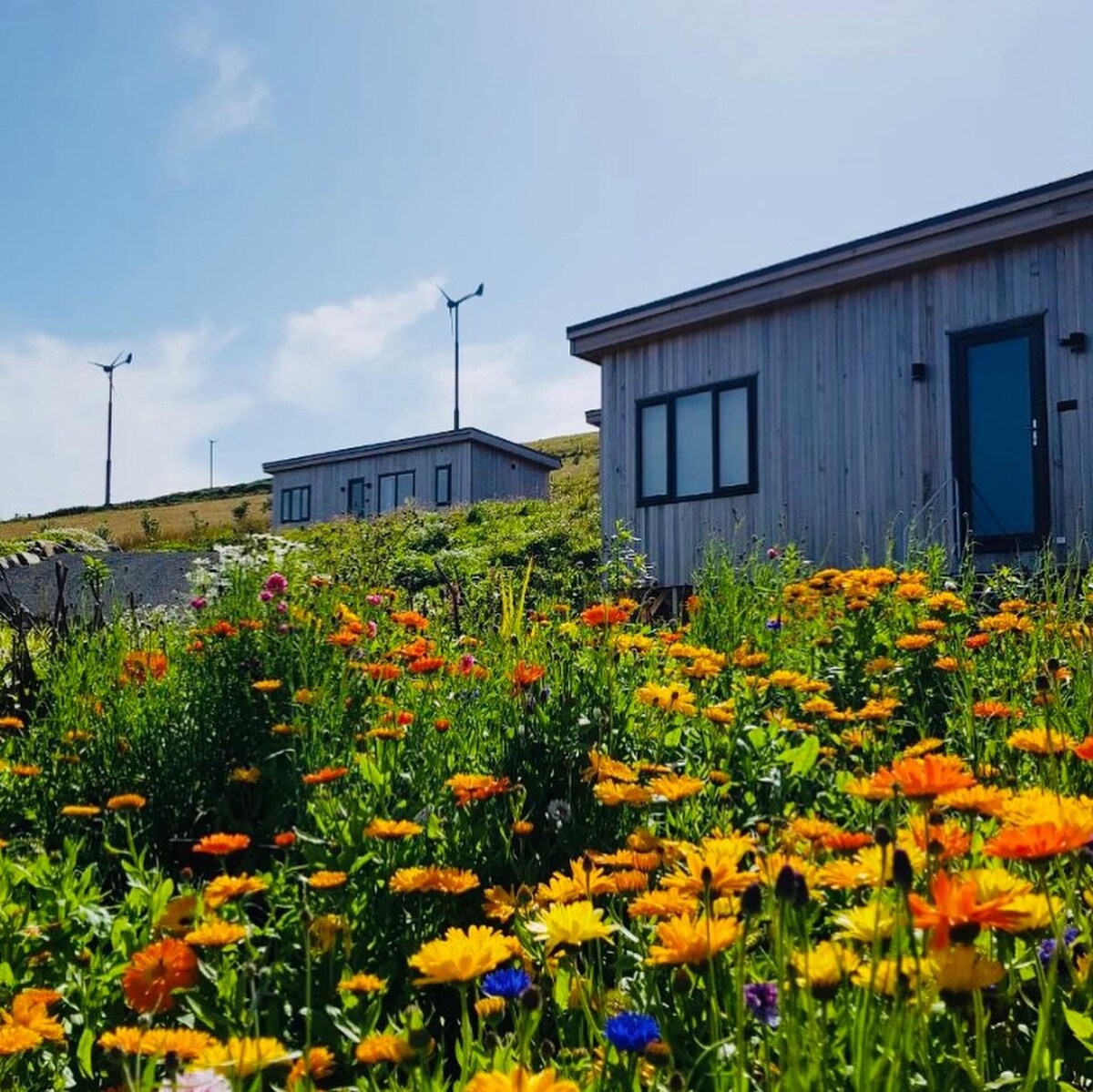 Millhaefen Lodge 1 -可爱的1卧室小屋