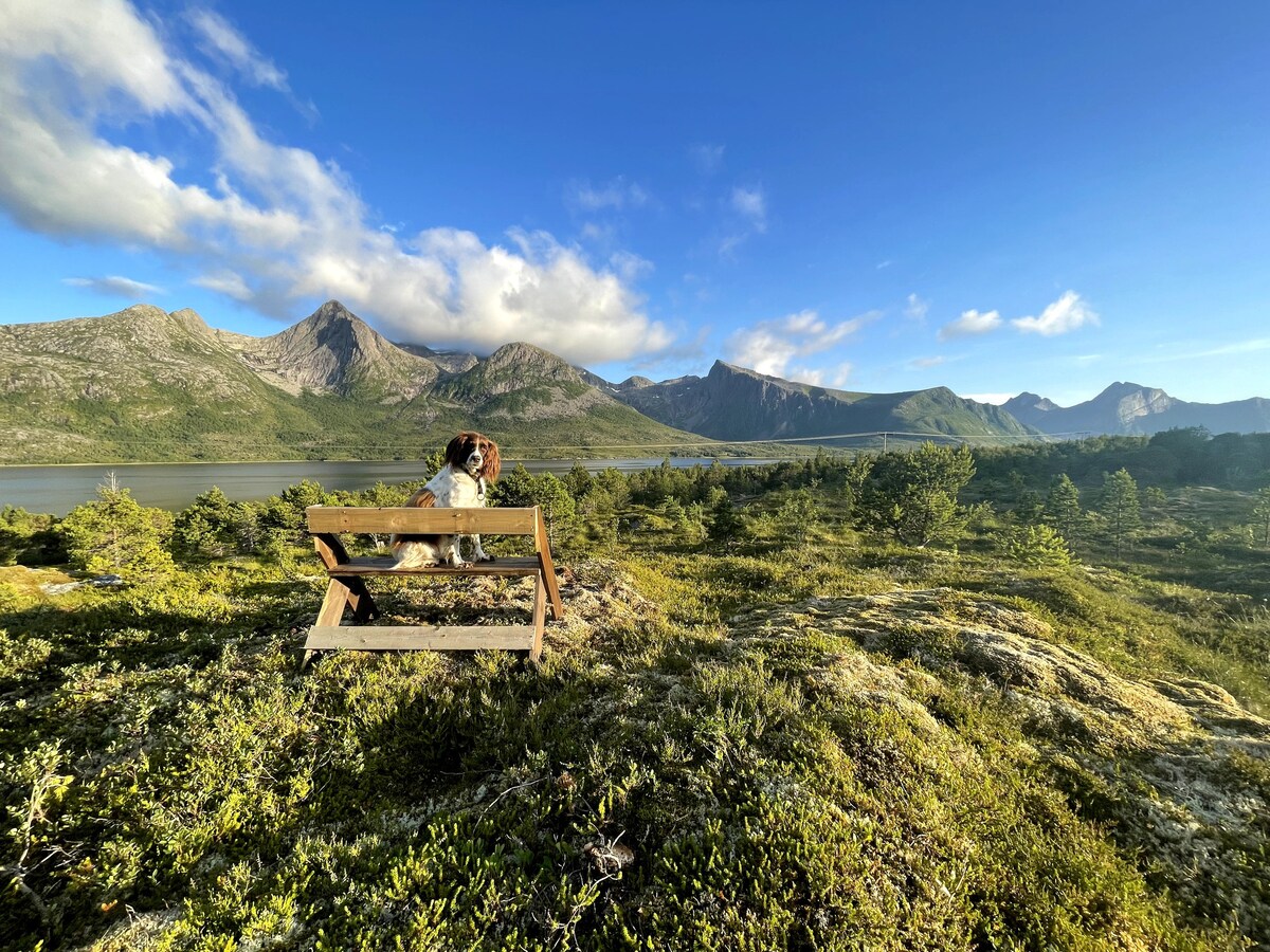 Hus med egen strandsone! Båthus, padlebrett