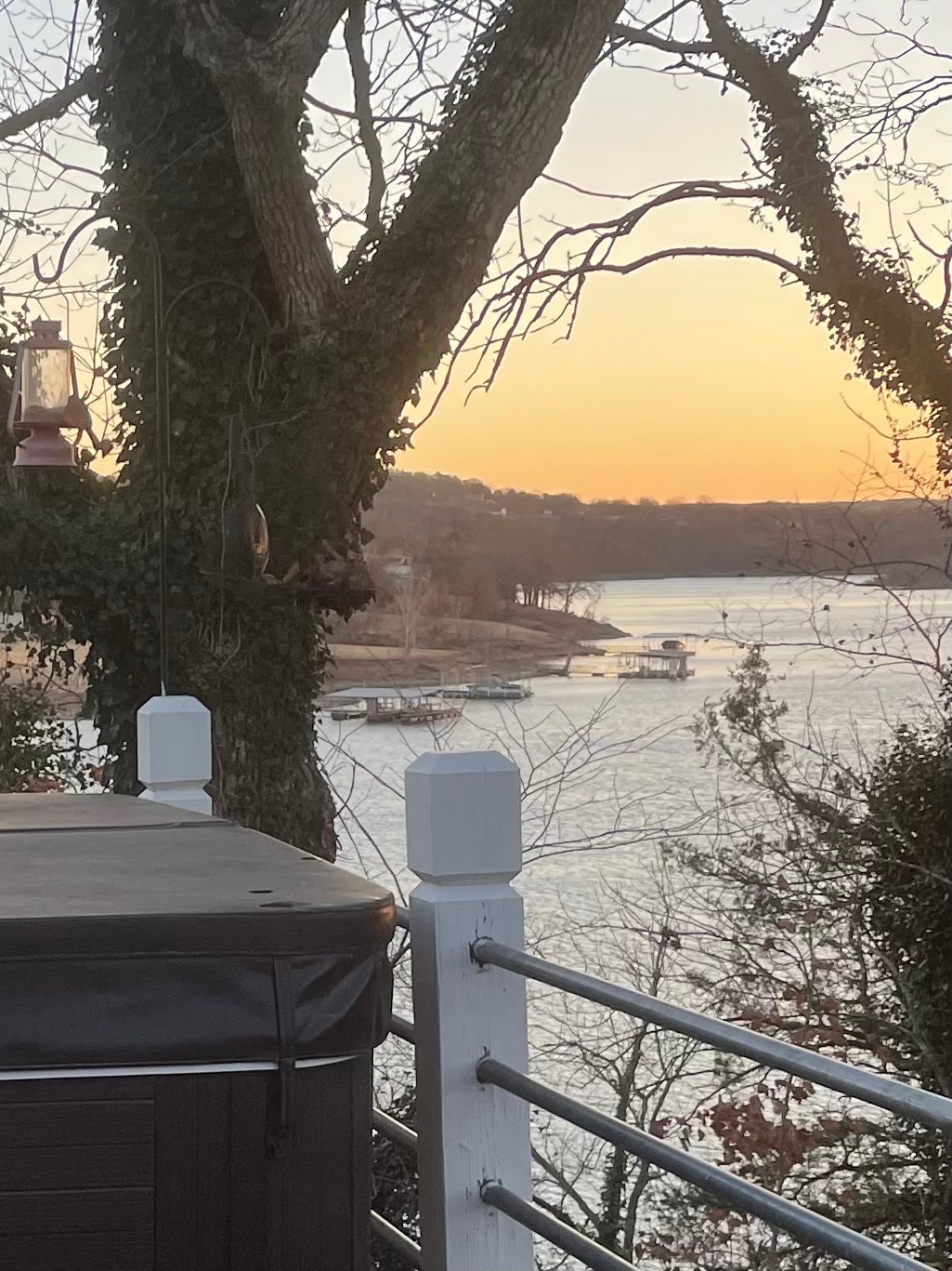 Whole house with lakeview and hot tub.