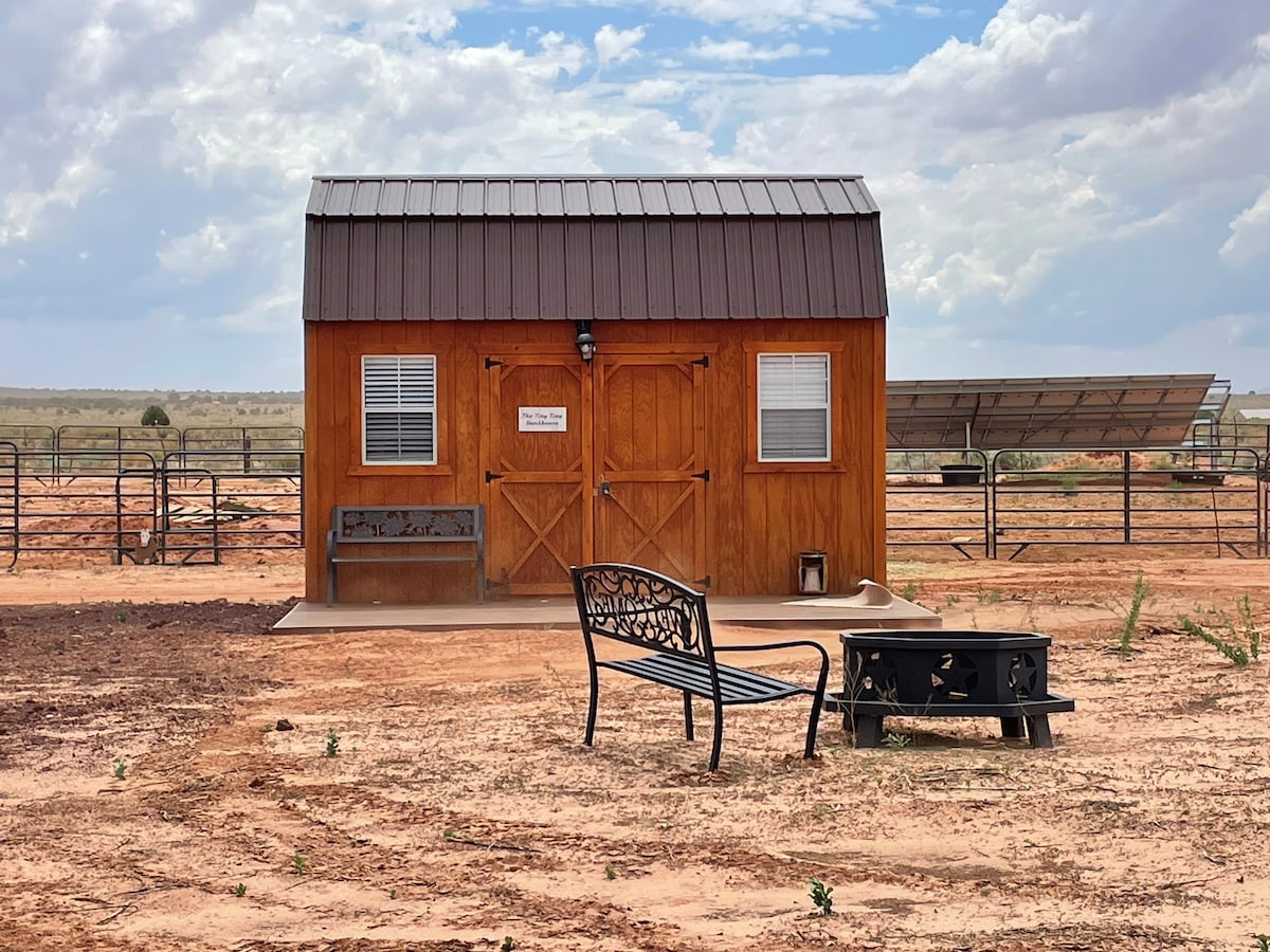 Tiny Bunkhouse